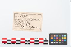 Etikett zu Eisengürtelhaken (NHMW-PRAE-025711)